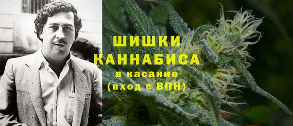 2c-b Дмитриев