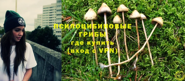 герыч Алексин