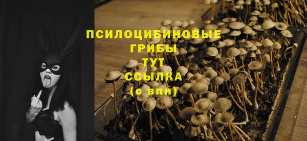 герыч Зерноград