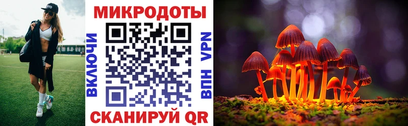 купить   Воткинск  Псилоцибиновые грибы GOLDEN TEACHER 