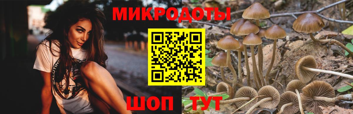 Воткинск  закладки  Вход с VPN  Псилоцибиновые грибы GOLDEN TEACHER 